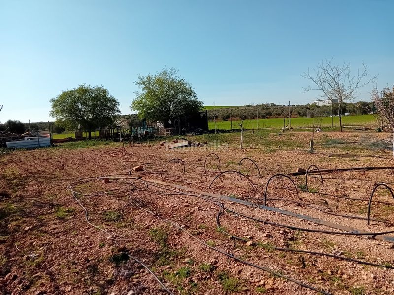 Foto 9ef0c39e-75dd-47cf-b9bd-fc0b0753cff1. Xalet amb aparcament a Bolaños de Calatrava