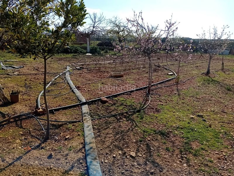 Foto bc5c8e19-7ebe-41e5-b8c8-b67d4c48e70a. Xalet amb aparcament a Bolaños de Calatrava