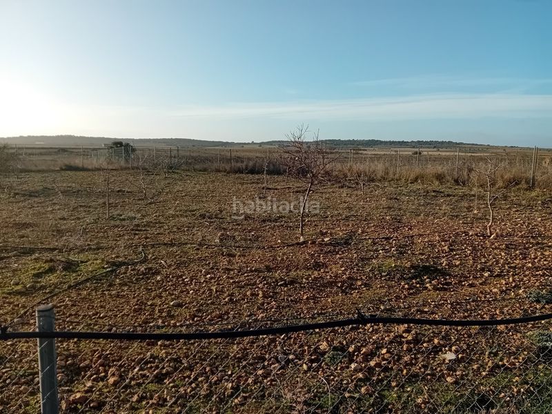 Foto ad909969-cb69-41bf-acd5-c65a14939067. Xalet amb calefacció aparcament piscina a Carrión de Calatrava