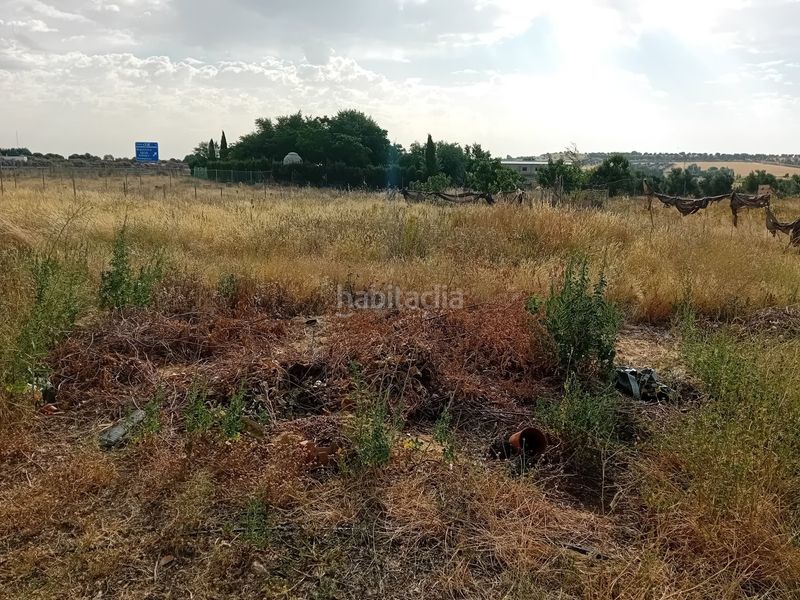 Foto 462d6269-ed74-4390-a6ef-c1fd7743e471. Xalet amb calefacció aparcament piscina a Miguelturra