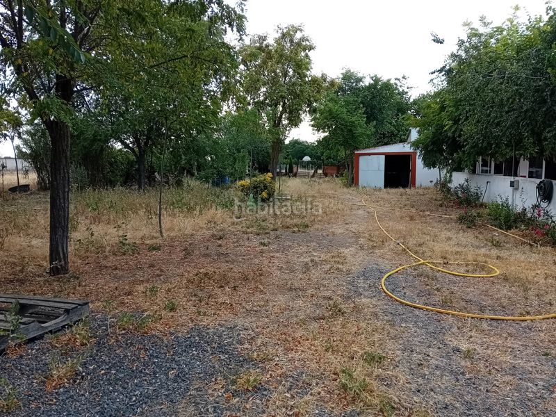 Foto 48c05600-4544-4ba6-bdd7-f76f7ae17899. Xalet amb calefacció aparcament piscina a Miguelturra
