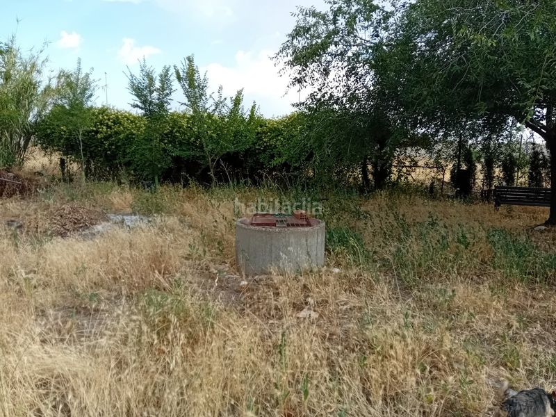 Foto c8ffa27b-ae7f-4fec-88f9-d404503081e5. Xalet amb calefacció aparcament piscina a Miguelturra