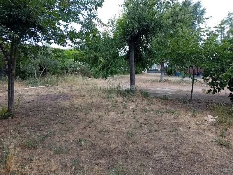 Foto ee6f812b-d00e-4d82-b82b-0a957e93809e. Xalet amb calefacció aparcament piscina a Miguelturra