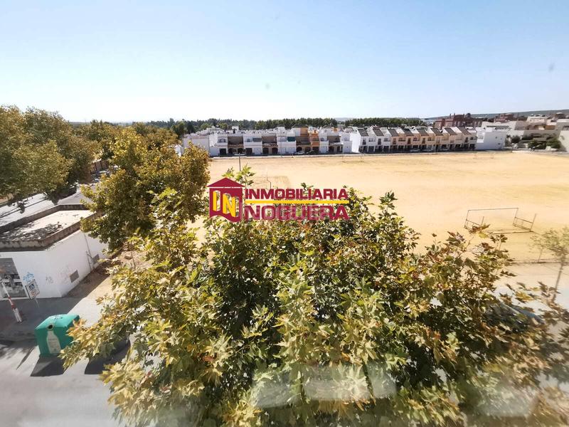 Foto 44252f32-5e7d-420b-ad85-2be925626a09. Pis a calle victoria kent 7 a Écija