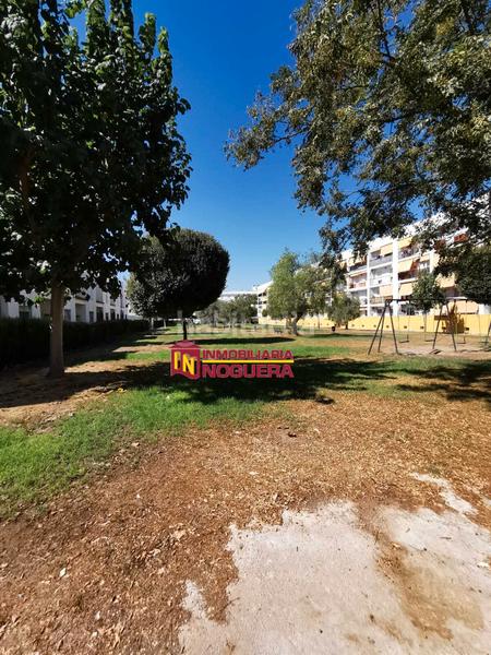 Foto 7ac4c149-9c8d-4977-aa2f-fbb9b51c5f5e. Pis a calle victoria kent 7 a Écija