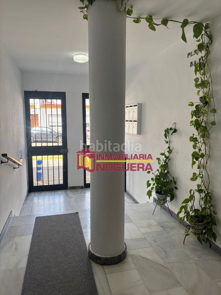 Foto 41e3e0b7-8524-4994-9793-0174f107a4fb. Pis a Écija