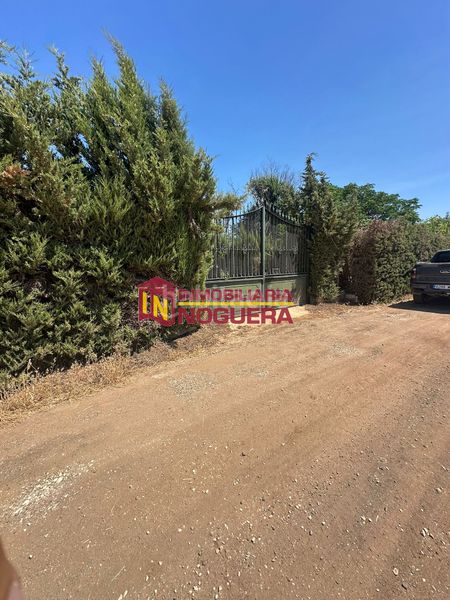 Foto 119b31e4-4be2-414a-a303-938767bf2096. Finca rústica a Écija