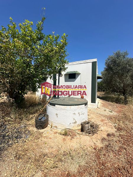 Foto 4c62135d-86a8-42d9-b8fc-ba249eaeab97. Finca rústica a Écija