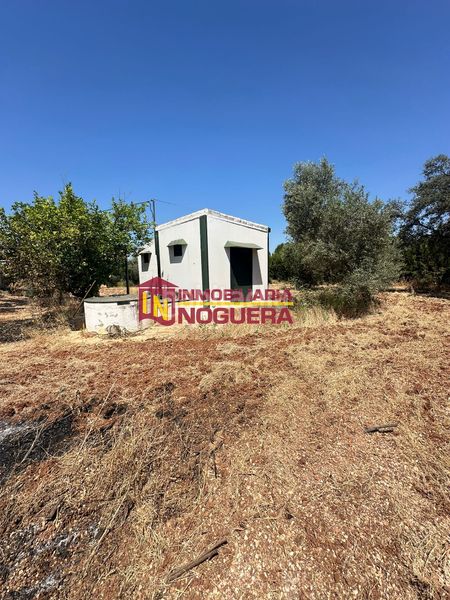 Foto 5ce3915e-b193-446e-878c-860b6660f9d7. Finca rústica a Écija