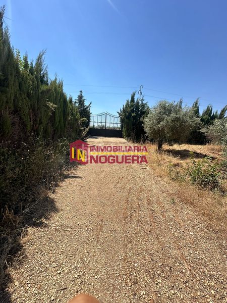 Foto 62e8105b-ab33-43b7-8aa1-ede27dbd0b4d. Finca rústica a Écija