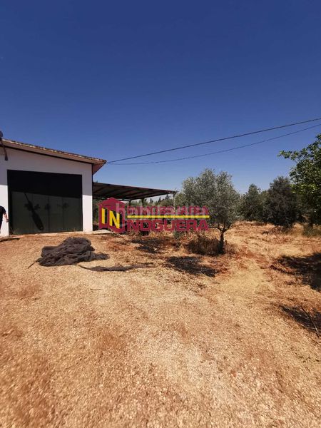 Foto 8f60e47d-c3d0-44e7-8225-d9513b632ad9. Finca rústica a Écija