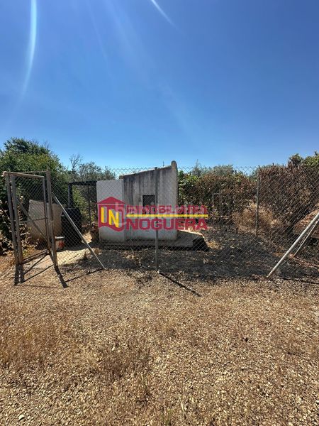 Foto d84fbb2a-e9ff-4408-89c6-1ed51dc4f467. Finca rústica a Écija