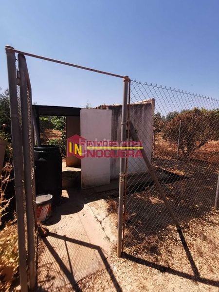 Foto dcba39b5-6757-4087-827a-7f975e7843a8. Finca rústica a Écija