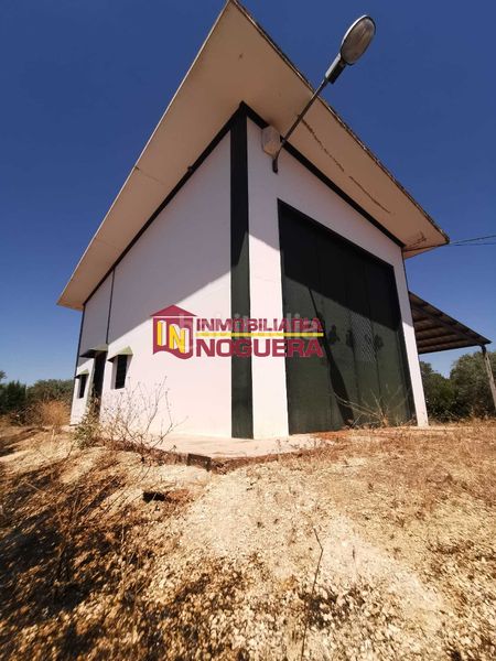 Foto ee97f55c-4181-4f9a-b1bd-810c3b160544. Finca rústica a Écija