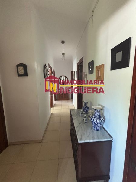 Foto e87878fe-8595-48a7-b226-7d82bc702d96. Finca rústica a Carlota (La)