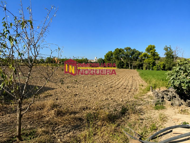 Foto ac3bfd6a-4a6f-40e9-836a-73b76187bda5. Finca rústica a Écija