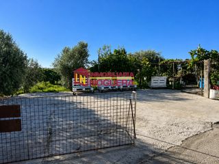 Fondo rustico in Écija. ??finca rustica con casa y 2 naves cerca de ecija??