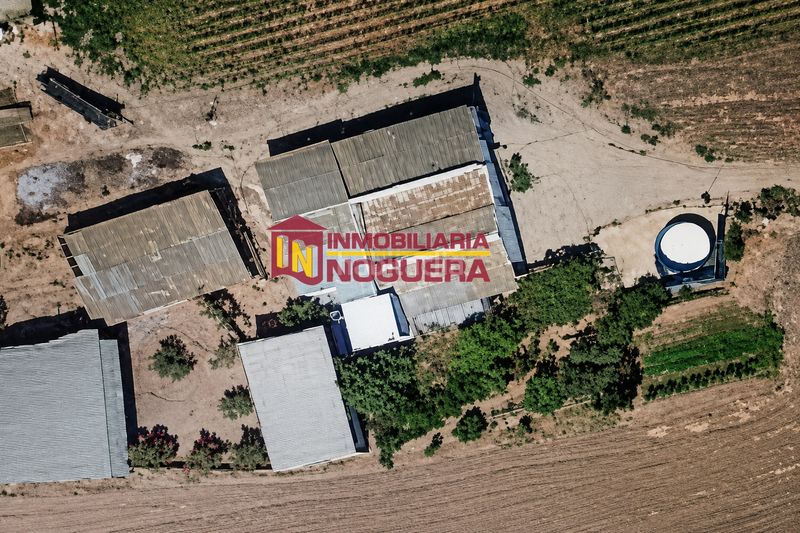 Foto f8a50857-d946-410f-adfc-c53005a8c5a7. Finca rústica a Écija