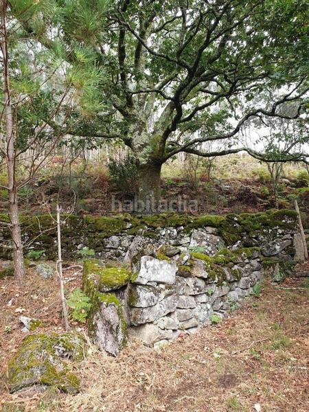 Foto 03c482e0-7938-4a9a-bf00-9b3d1e34ff55. Casa conjunto de casas para restaurar en san isidro se vende conjunto de casas para rehabilitar en un entorno natural privilegiado, ide en Campo Lameiro