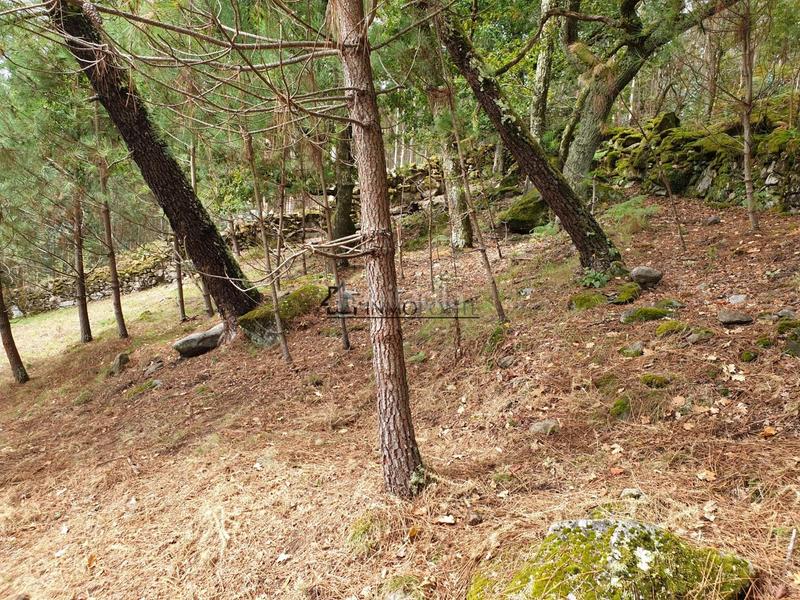 Foto 09b32876-8150-469c-9461-d02ad904fb07. Casa conjunto de casas para restaurar en san isidro se vende conjunto de casas para rehabilitar en un entorno natural privilegiado, ide en Campo Lameiro