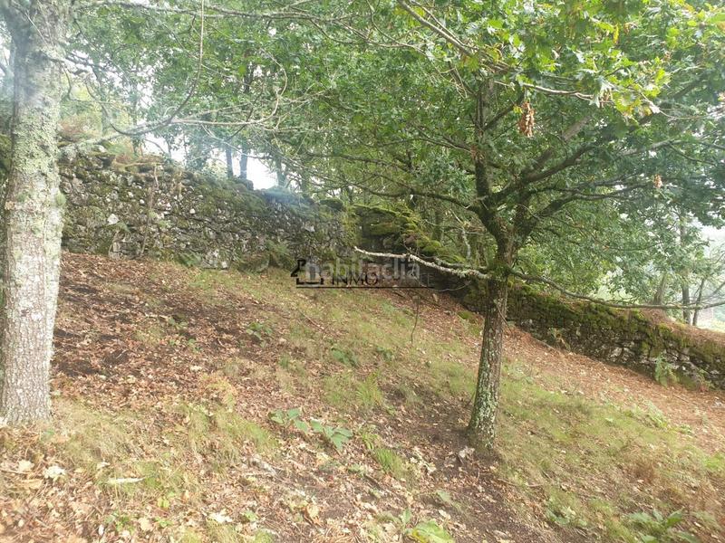 Foto 3d5866e0-e30a-4b9c-a156-72a8443fee74. Casa conjunto de casas para restaurar en san isidro se vende conjunto de casas para rehabilitar en un entorno natural privilegiado, ide en Campo Lameiro