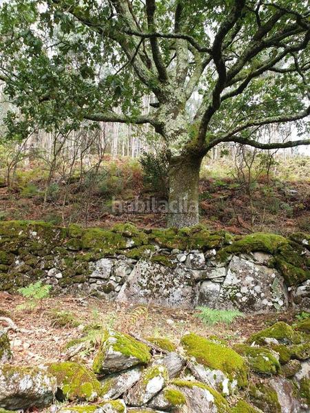 Foto 82b28f48-257e-4262-b4e2-5b89171a1792. Casa conjunto de casas para restaurar en san isidro se vende conjunto de casas para rehabilitar en un entorno natural privilegiado, ide en Campo Lameiro