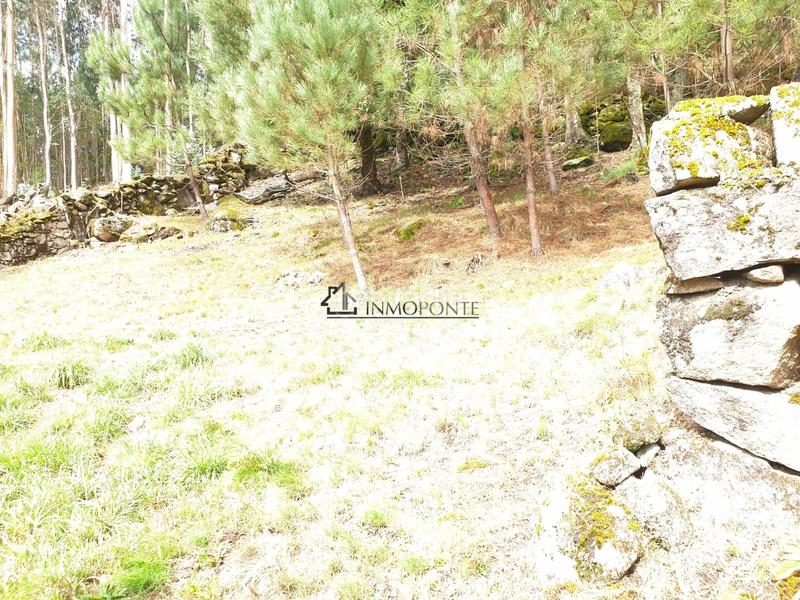 Foto 98a3e8d2-98dc-48a8-aea5-f381773d54b0. Casa conjunto de casas para restaurar en san isidro se vende conjunto de casas para rehabilitar en un entorno natural privilegiado, ide en Campo Lameiro