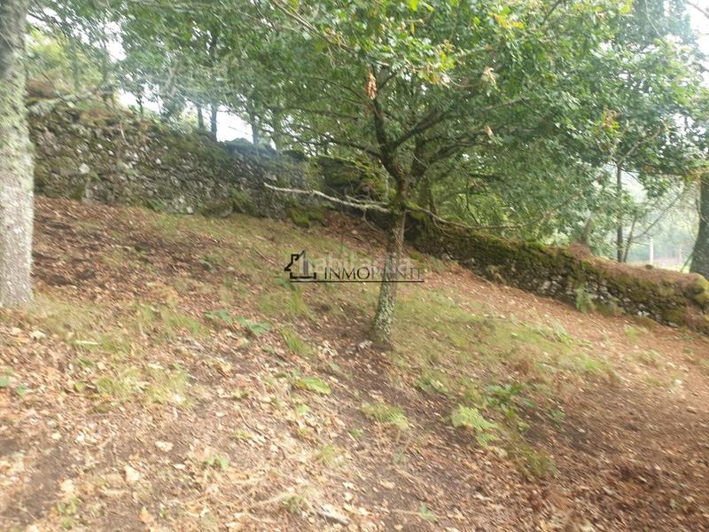 Foto b815961d-2eb6-492c-ae8d-b7f69f044215. Casa conjunto de casas para restaurar en san isidro se vende conjunto de casas para rehabilitar en un entorno natural privilegiado, ide en Campo Lameiro