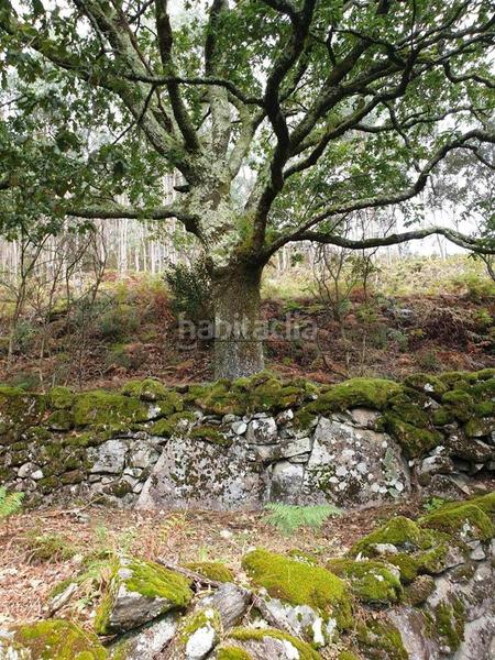 Foto cd155b8f-1158-49da-9cff-338dc705a7d8. Casa conjunto de casas para restaurar en san isidro se vende conjunto de casas para rehabilitar en un entorno natural privilegiado, ide en Campo Lameiro