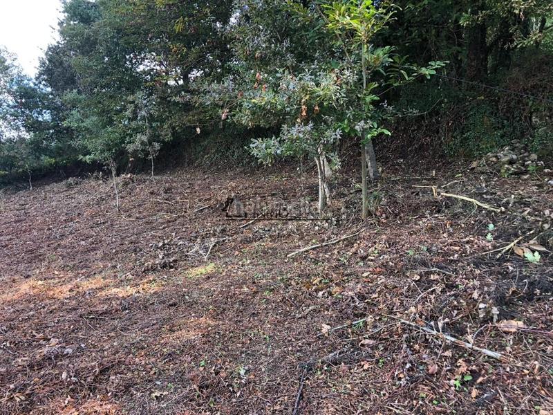 Foto 8b1e4841-07e6-47fc-bff4-f94e5c9c02ba. Wohngrundstück in Cotobade