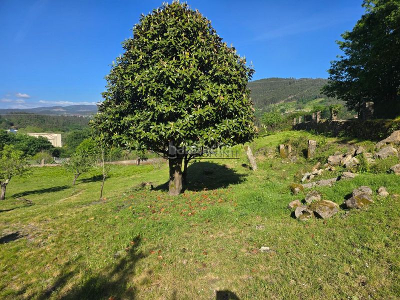Foto c885fa48-457a-4fd0-851d-0a573aee15a1. Casa a Parroquias Rurales Pontevedra