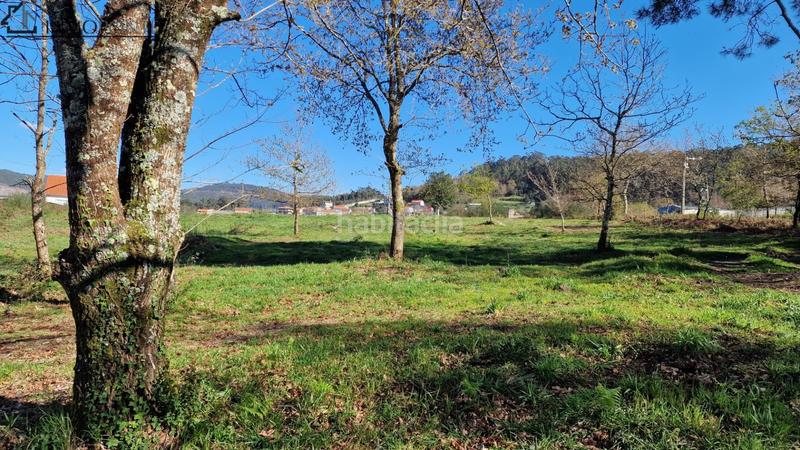 Foto 14a0f19f-4be9-4eb2-9037-9e86f2b6a5ef. Residential plot in Marín