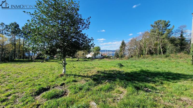 Foto 5409e2fb-214f-4ca1-9294-8edc5d1402a4. Residential plot in Marín