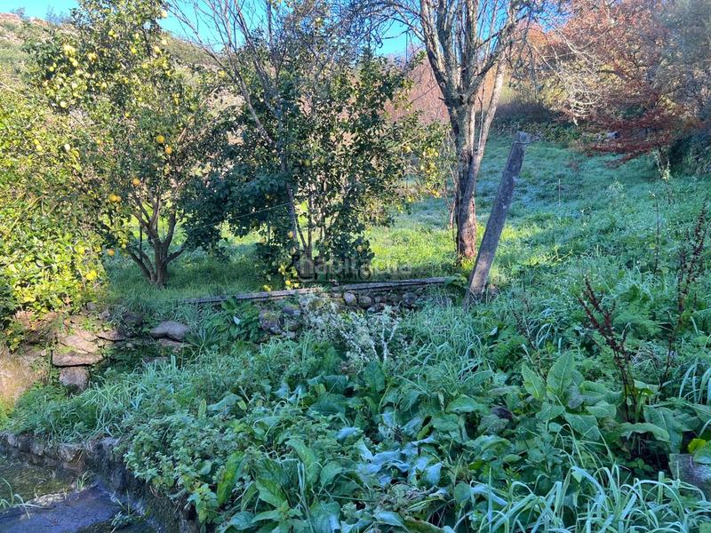 Foto ef71175a-7ca0-47a5-94e8-0d08a741ddf9. Casa a Cotobade