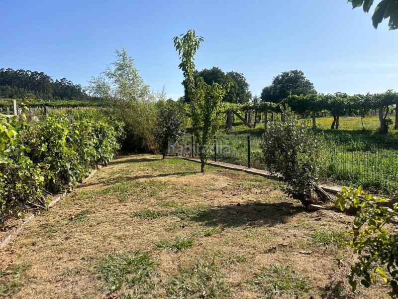 Foto 3c19a636-80ff-4a49-8057-6b249029b3fb. Casa chalet de piedra con viñedo, árboles frutales y vistas al mar sanxenxo en la exclusiva zona de casal, a tan solo tres minutos en en Meaño