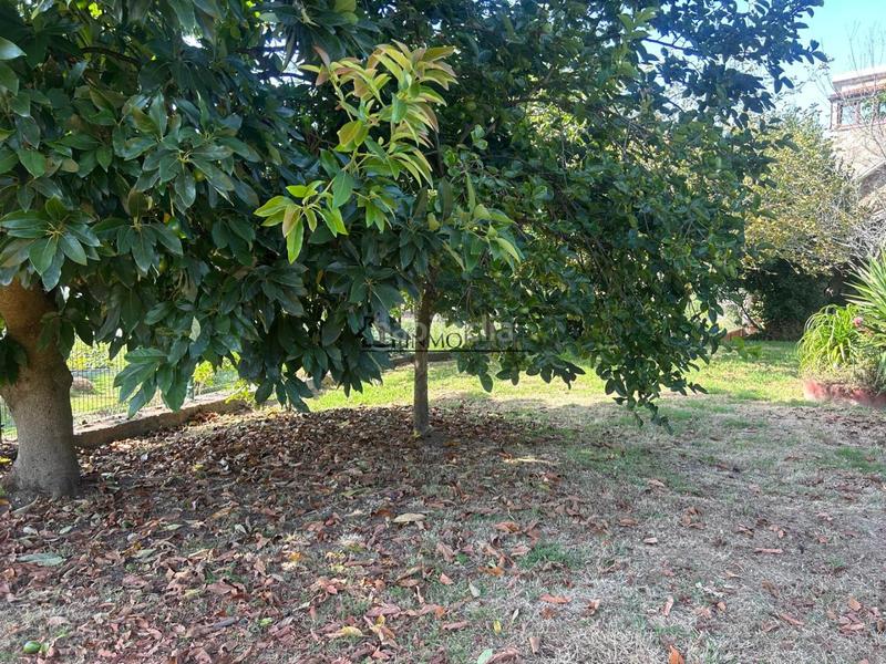 Foto 47bd3f82-a82f-41cb-a74c-0e8147ca0170. Casa chalet de piedra con viñedo, árboles frutales y vistas al mar sanxenxo en la exclusiva zona de casal, a tan solo tres minutos en en Meaño