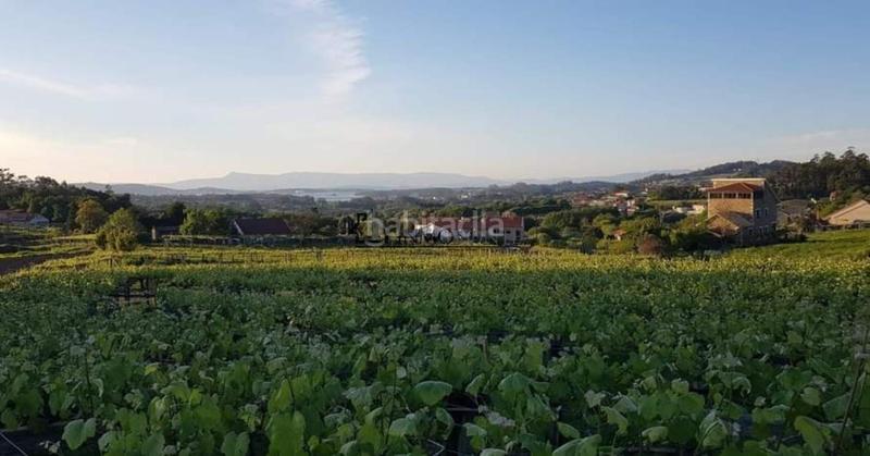 Foto 59d1271f-3e34-44df-b6d4-b3a13f8d5335. Casa chalet de piedra con viñedo, árboles frutales y vistas al mar sanxenxo en la exclusiva zona de casal, a tan solo tres minutos en en Meaño