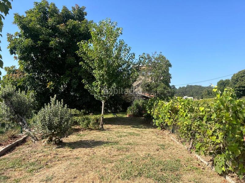 Foto a490cf85-8ed4-41a6-8384-d77a8e58e059. Casa chalet de piedra con viñedo, árboles frutales y vistas al mar sanxenxo en la exclusiva zona de casal, a tan solo tres minutos en en Meaño