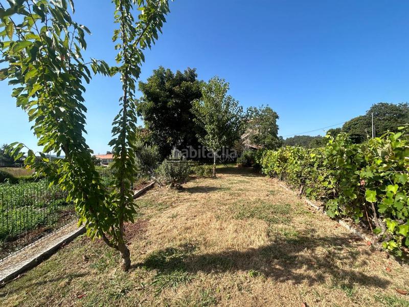 Foto e18e99db-a07f-49eb-85f5-806c69e7bfb7. Casa chalet de piedra con viñedo, árboles frutales y vistas al mar sanxenxo en la exclusiva zona de casal, a tan solo tres minutos en en Meaño