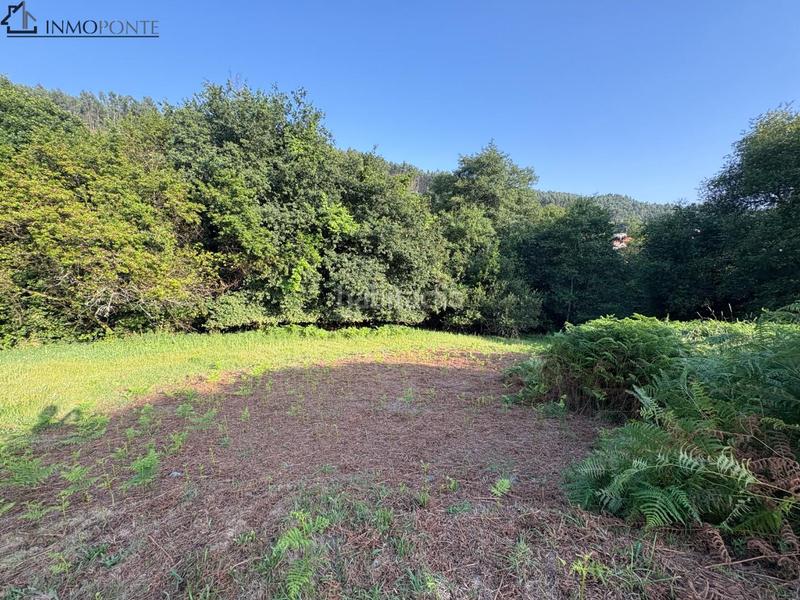 Foto b8f1ea61-353c-468a-a4ef-71f31a2c8b95. Wohngrundstück in Cotobade