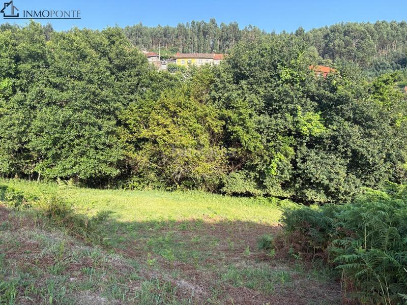 Foto ccc9f8dc-33c6-4afd-a7b7-ede9bb3518c1. Wohngrundstück in Cotobade