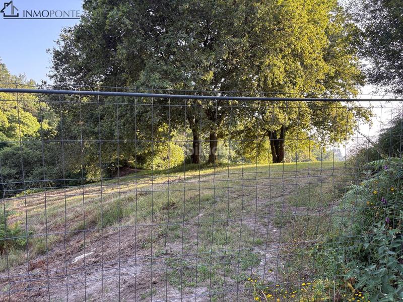 Foto 8cd5650f-7636-4427-93a1-5f5eb9618ef1. Wohngrundstück in Cotobade