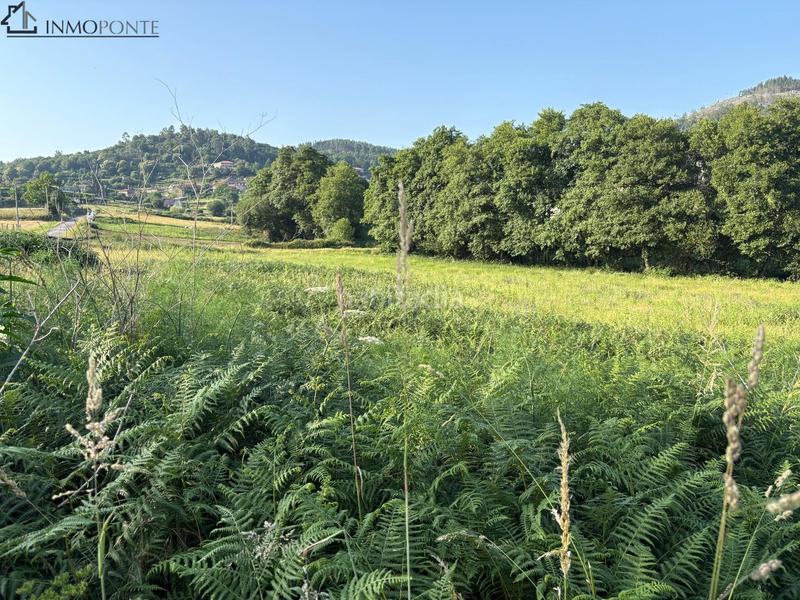 Foto 486c602e-e3e7-4559-97c1-c025e5f6e5ef. Wohngrundstück in Cotobade