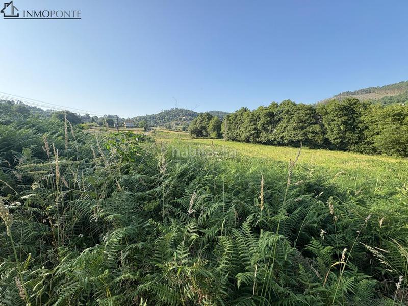 Foto c1c699ae-d618-4208-a23f-32d3f3a03f26. Wohngrundstück in Cotobade