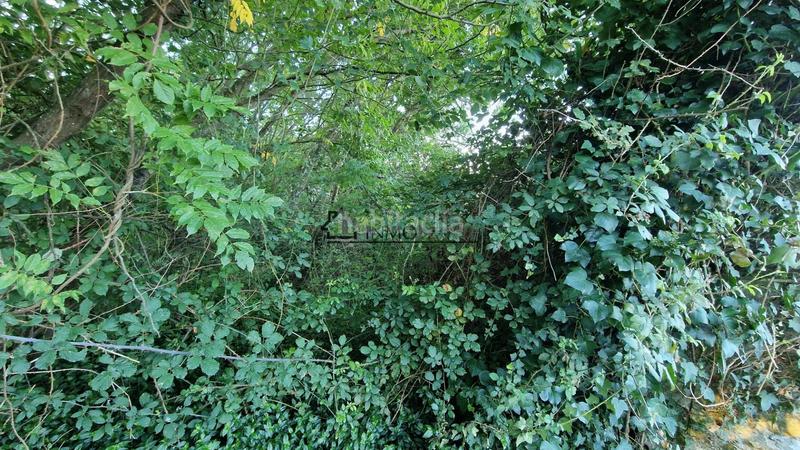 Foto 40aa8f3f-bcff-418f-b544-4a9c7d3592b4. Haus in Rubiáns Vilagarcía de Arousa