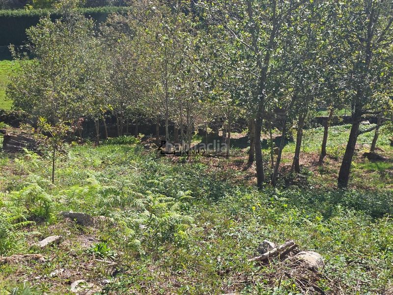 Foto 98ef278c-6596-46ea-b990-2f8474e68efa. Terreny residencial a Cotobade