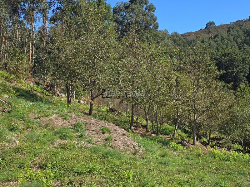 Foto ec6fecb7-8820-4b1a-831f-9c62aa779b58. Terreny residencial a Cotobade