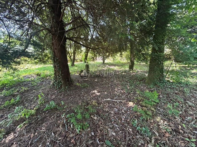 Foto 48442235-fa05-43d6-8242-d1e846e11848. Casa amb aparcament a Cotobade