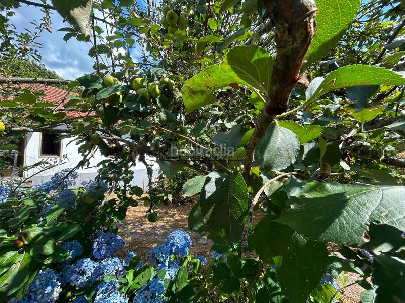 Foto 9928619a-fd5e-4f5e-ad73-f8aa8b055818. Casa amb calefacció aparcament a Forcarei