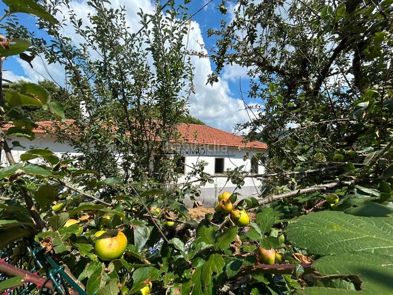 Foto ce095f33-58f7-41e2-b1ee-968245d1f7ee. Casa amb calefacció aparcament a Forcarei